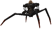 spider